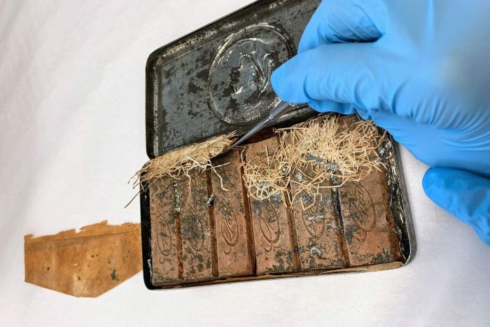 Cokelat Berusia 120 Tahun Lebih Ditemukan, Bingkisan buat Ratu Inggris