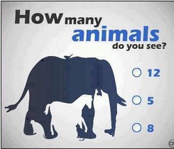 ada berapa hewan yang dapat kamu temukan dari gambar ini ?