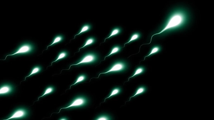 Menurut Riset, Sperma Bisa Bertahan 200 Tahun di Antariksa, Ini Penjelasannya.