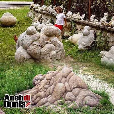 Trovant Batu Bernyawa Rumania