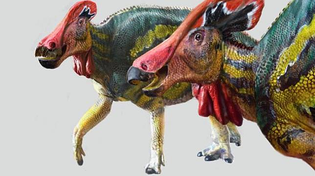  Ilmuwan Temukan Fosil Dinosaurus Paling Cerewet 