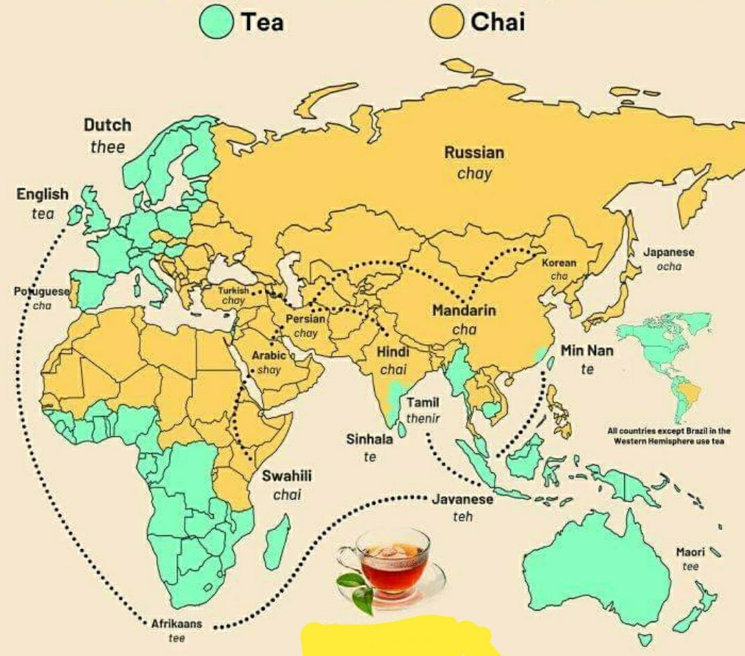 Evolusi kata teh atau chai