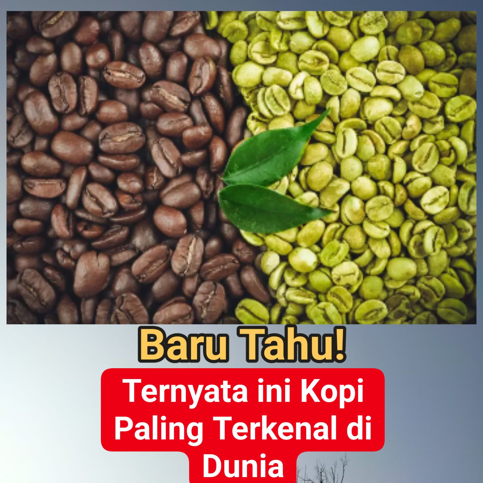 ** 5 Jenis Kopi Paling Terkenal di Dunia **
