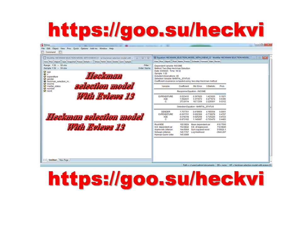 Heckman selection model With Eviews 13