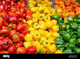 Capsicum Market With Manufacturing Process and CAGR Forecast by 2030