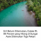 Eril Belum Ditemukan, Dubes RI : 99 yang Hilang Di Sungai Aare Ditemukan Tiga Pekan