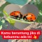 ** Kumbang Koksi Sahabat Para Petani **