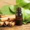 Cinnamon Bark Oil Market Growth, Trends, Huge Business Opportunity and Value Chain 2022-2030