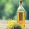 Canola Oil Market Growth, Trends, Huge Business Opportunity and Value Chain 2022-2030