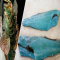 5 Fakta Unik Ikan Lingcod yang Berdaging Biru