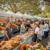 Discovering the Farmers Market in West Palm Beach