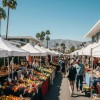 Visiting Farmers Market Around America