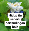 Hidup Itu Seperti Pertandingan Bola