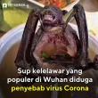 Sup Kelelawar Makanan khas Wuhan Diduga Penyebab Virus Corona