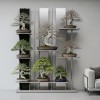 Display bonsai inspiration❤