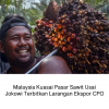 Malaysia Kuasai Pasar Sawit Usai jokowi Terbitkan Larangan Ekspor CPO