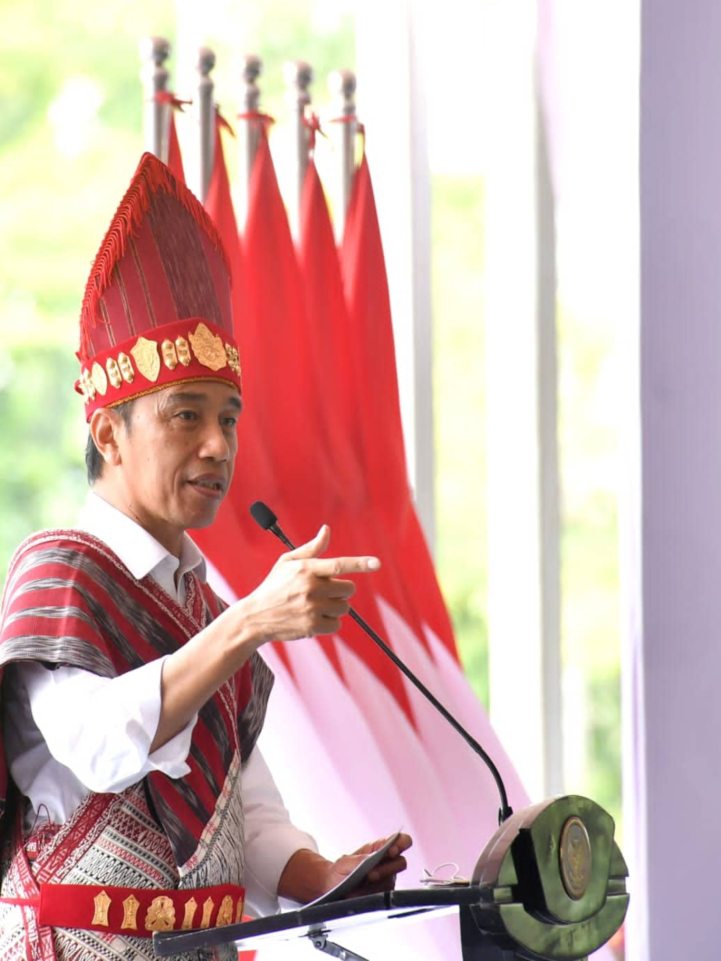 Presiden Jokowi Ajak Keluarga Tanami Pekarangan Sebagai Sumber Pangan Untuk Atasi Stunting